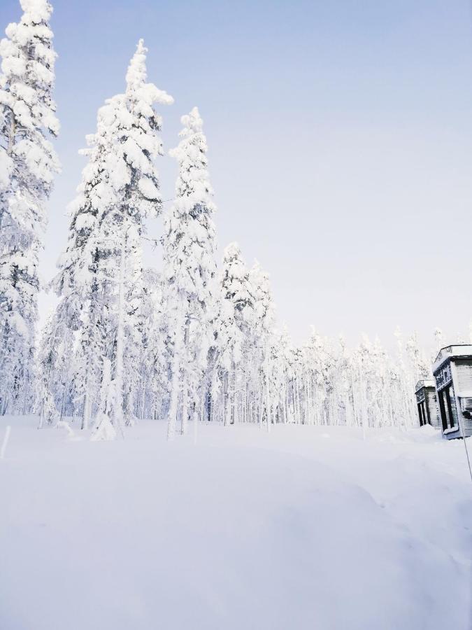 Levi Sky Igloo With Private Sauna And Hot Tub Esterno foto