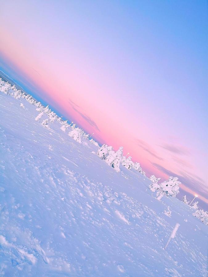Levi Sky Igloo With Private Sauna And Hot Tub Esterno foto